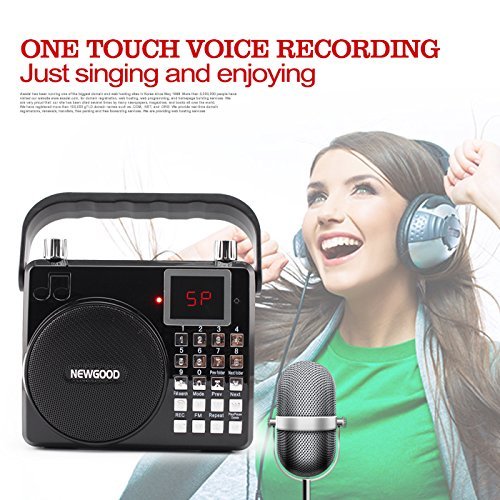 NEWGOOD Wireless Remote Control Outdoor Portable Bass Player Speaker With Digital Numbers Buttons And Voice Recorder... N7