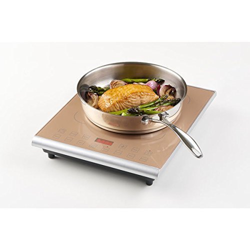 15" Induction Cooktop with 1 Burner Finish: Caramel N7