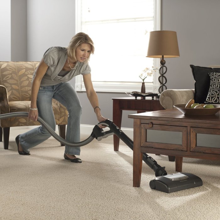 Electrolux Jetmaxx Green Canister Vacuum, EL4040A N3