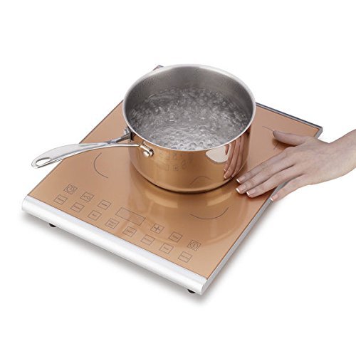 15" Induction Cooktop with 1 Burner Finish: Caramel N8