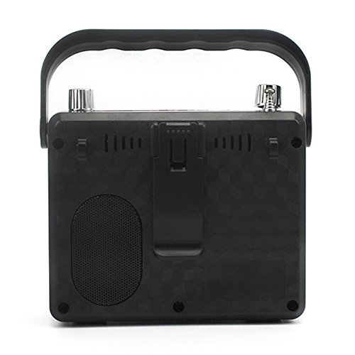 NEWGOOD Wireless Remote Control Outdoor Portable Bass Player Speaker With Digital Numbers Buttons And Voice Recorder... N16