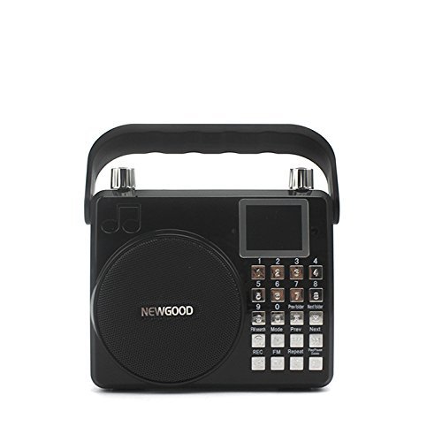 NEWGOOD Wireless Remote Control Outdoor Portable Bass Player Speaker With Digital Numbers Buttons And Voice Recorder... N17