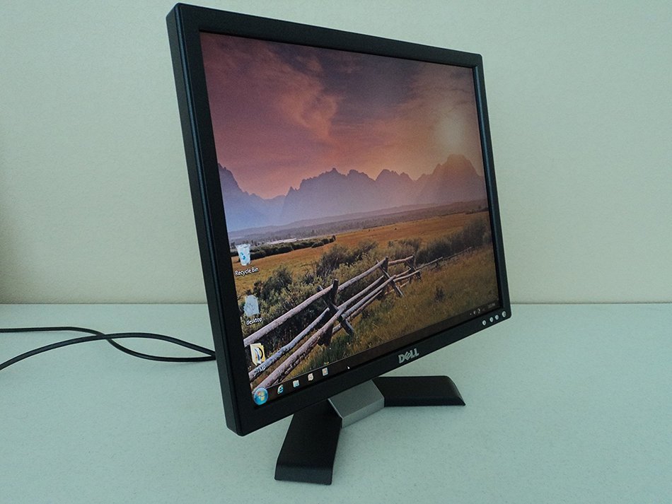 19" Dell E196FPb LCD Monitor (Black)