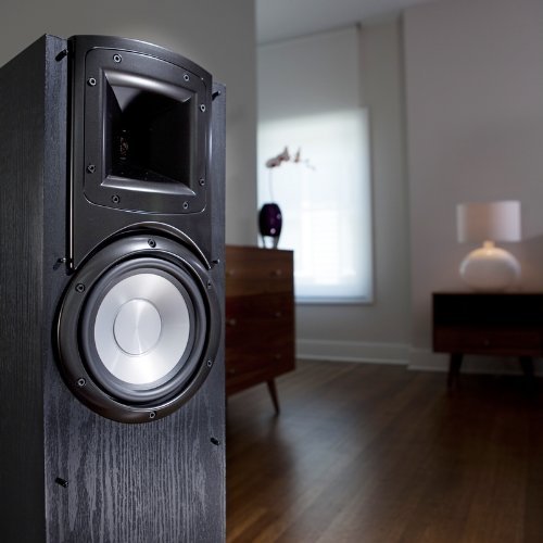 Klipsch Synergy F-10 Premium 6.5-Inch Floor-Standing Speaker N2
