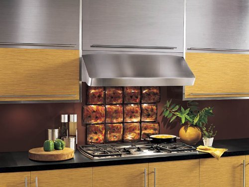 36" Under Cabinet Range Hood with Multiple Exterior/In-Line Blower Options Variable Speed Rotary Control Halogen... N4