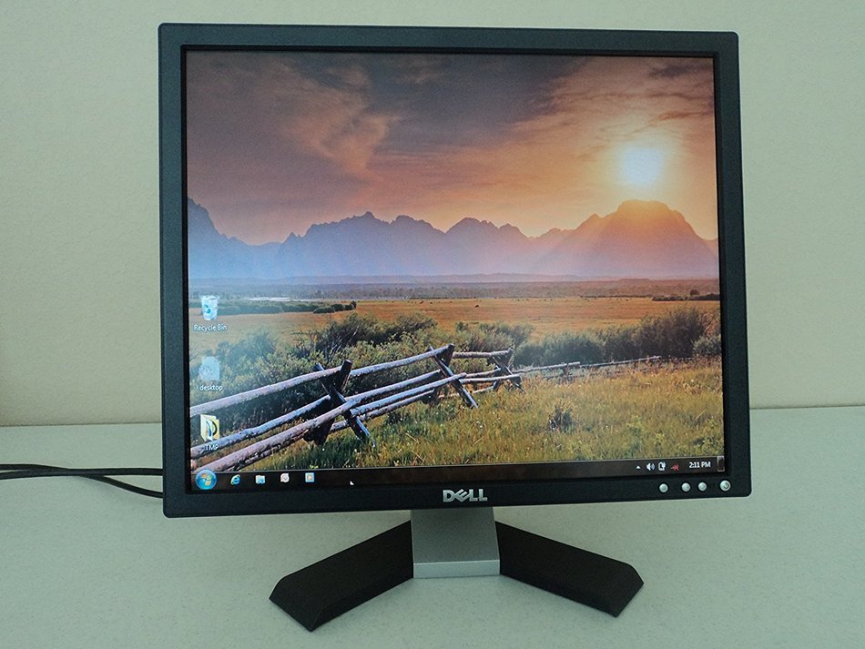 19" Dell E196FPb LCD Monitor (Black) N4