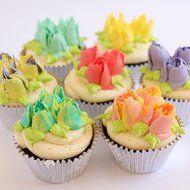 23 Piece Set Cake Decorating Tips Russian Decorating Tips Piping Pastry Tips Stainless Steel 23 piece Coupler,... N9