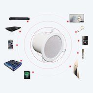 X1/A set of(A Main Speaker + A Sub Speaker)Integrated Suspended Ceiling Strong Bass Effect Wireless Bluetooth... N7