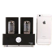 Gemtune APPJ PA1501A mini tube amplifier with 6AD10 tube(Silver) N3