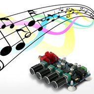 KKmoon LM1036 + NE5532 Stereo Pre-amp Preamplifier Tone Board DIY Audio Amplifier Board N6