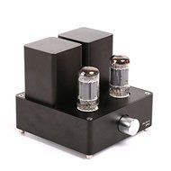 Gemtune APPJ PA1501A mini tube amplifier with 6AD10 tube(Silver) N11