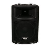 Podium Pro PP1203A Channel Powered Speaker Cabinet N6