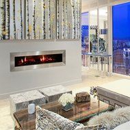 Opti-V Duet Fireplace N2