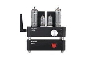 Douk Audio APPJ PA1601A WiFi Smart Mini HiFi Tube Amplifier USB PC/U-disk/SD Card/AUX Input (Silver) N4