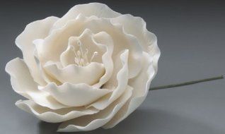 Briar Rose White Wedding in Gum Paste Cake Decoration
