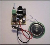Portable Guitar Amplifier Kit N2
