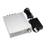 SOUND WARRIOR vacuum tube With buffer Class D Power Amplifier SWD-TA10