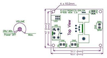 Electronics-Salon Mono 10W Audio Amplifier Module, Based on TDA2003 A. for Car Radio etc. N8