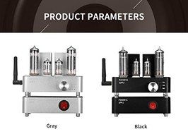 Douk Audio APPJ PA1601A WiFi Smart Mini HiFi Tube Amplifier USB PC/U-disk/SD Card/AUX Input (Silver) N5