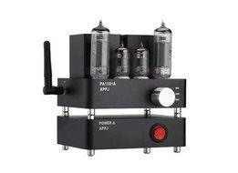 Douk Audio APPJ PA1601A WiFi Smart Mini HiFi Tube Amplifier USB PC/U-disk/SD Card/AUX Input (Silver) N6