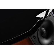 HiVi Swans - M100MKII - Full Rosewood cabinat N4