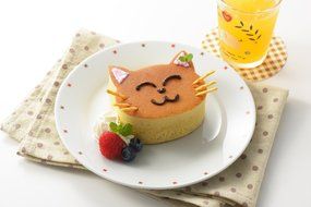 Mr. Kohiya thick baked pancake ring cat two-pack SJ2216 N4