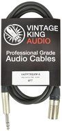 VK Premium Studio Patch TRS - XLRM - 10'
