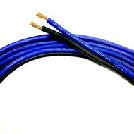 10' feet OFC TRUE 10 Gauge AWG Speaker Wire Car Home Audio