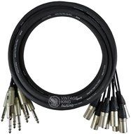 Vintage King Premium 8-Ch TRS-XLRM -15'