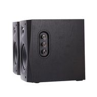 HiVi Swans - D1010-IV - Full Wood Cabinet N3