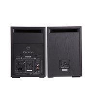 HiVi Swans - D1010-IV - Full Wood Cabinet N4