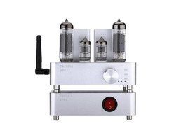 Douk Audio APPJ PA1601A WiFi Smart Mini HiFi Tube Amplifier USB PC/U-disk/SD Card/AUX Input (Silver) N9
