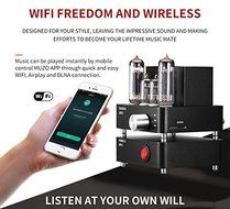 Douk Audio APPJ PA1601A WiFi Smart Mini HiFi Tube Amplifier USB PC/U-disk/SD Card/AUX Input (Silver) N13