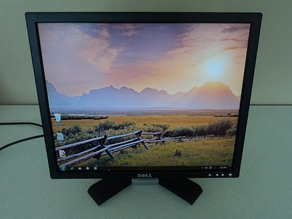 19" Dell E196FPb LCD Monitor (Black) N9