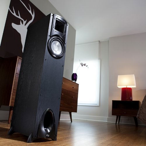 Klipsch Synergy F-10 Premium 6.5-Inch Floor-Standing Speaker N6