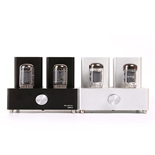 Gemtune APPJ PA1501A mini tube amplifier with 6AD10 tube(Silver) N10