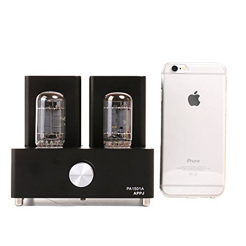 Gemtune APPJ PA1501A mini tube amplifier with 6AD10 tube(Silver) N12