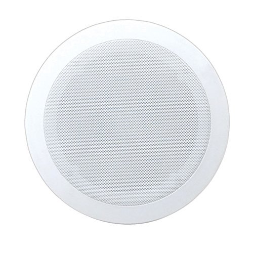 8'' Two-Way In-Ceiling Speaker System N2