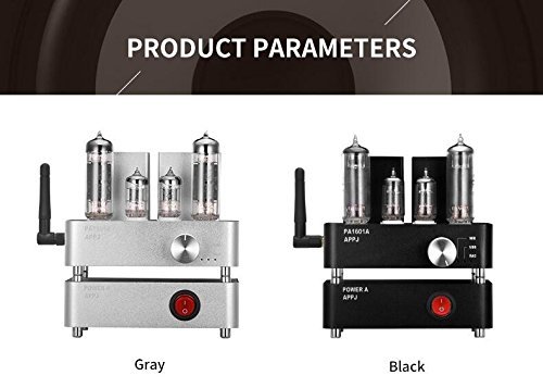 Douk Audio APPJ PA1601A WiFi Smart Mini HiFi Tube Amplifier USB PC/U-disk/SD Card/AUX Input (Silver) N5