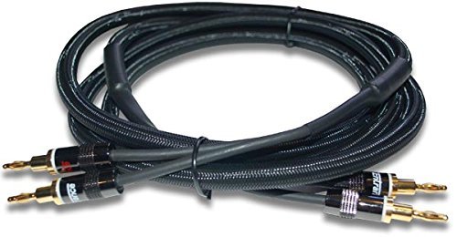 CEntrance MasterClass 2504 Audiophile Speaker System with $199 Set of 2.5m Cables! N2