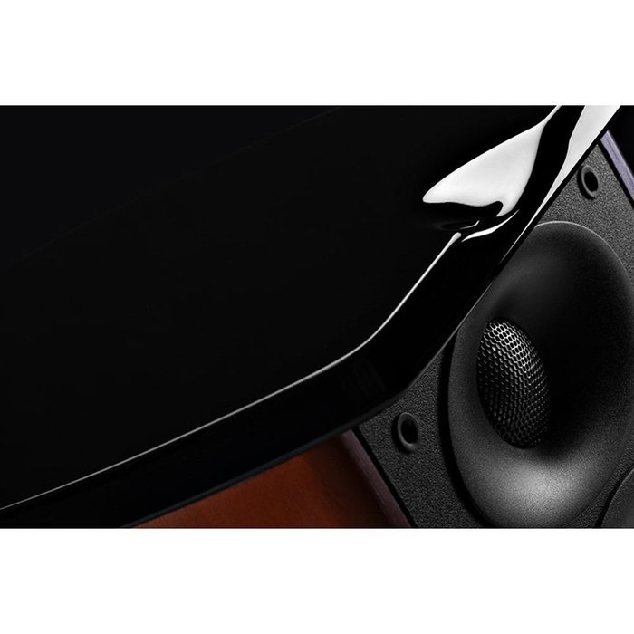 HiVi Swans - M100MKII - Full Rosewood cabinat N4