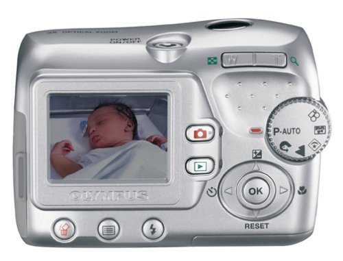 Olympus Camedia D535 3.2MP Digital Camera with 3x Optical Zoom N2
