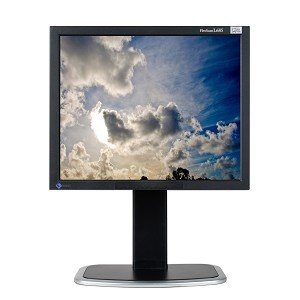 18.1" Eizo FlexScan L685 Dual DVI 720p Rotating LCD Monitor w/USB Hub (Black) - Rotates to... N2