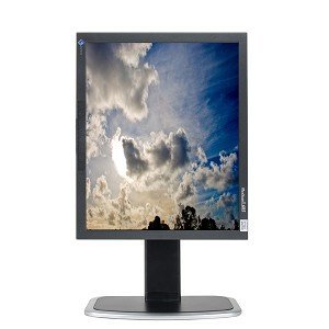 18.1" Eizo FlexScan L685 Dual DVI 720p Rotating LCD Monitor w/USB Hub (Black) - Rotates to... N3