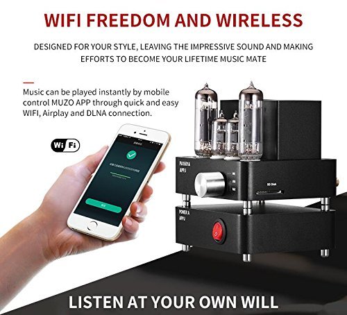 Douk Audio APPJ PA1601A WiFi Smart Mini HiFi Tube Amplifier USB PC/U-disk/SD Card/AUX Input (Silver) N13