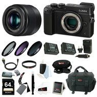 Panasonic Lumix GX8 Mirrorless Camera w/ 25mm f/1.7 Lens &amp; 64GB SD Card Bundle (Black) N2