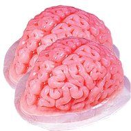 Brain Gelatin Mold Standard N2