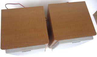 Sony Bookshelf Speakers Model SS-CEP707 Stereo Speakers Pair N7