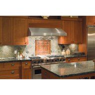 Windster 42W in. WS-38 Series Under Cabinet Range Hood N2