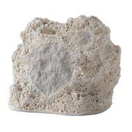 Niles RS5 Coral 5.25-inch 2-Way High Performance Rock Loudspeaker (Each)